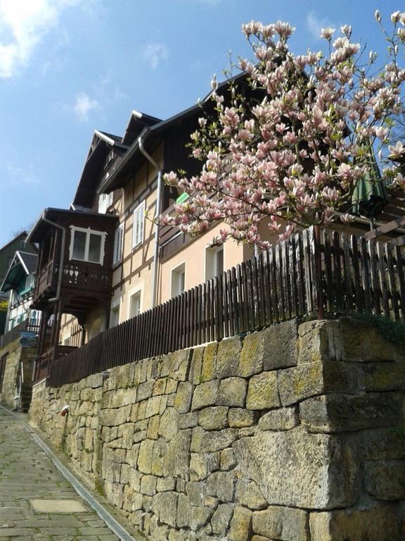 Wehlener Landhaus In Stadt Wehlen, Saechsische Schweiz Exterior photo